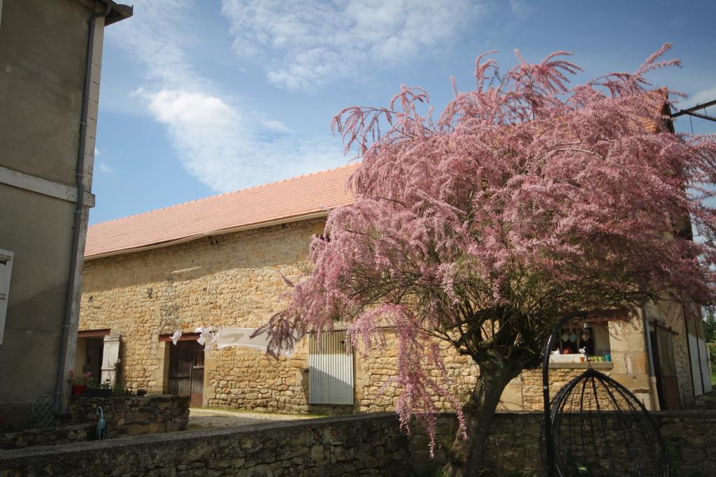 La Maison Du Bonheur Anlhiac Εξωτερικό φωτογραφία